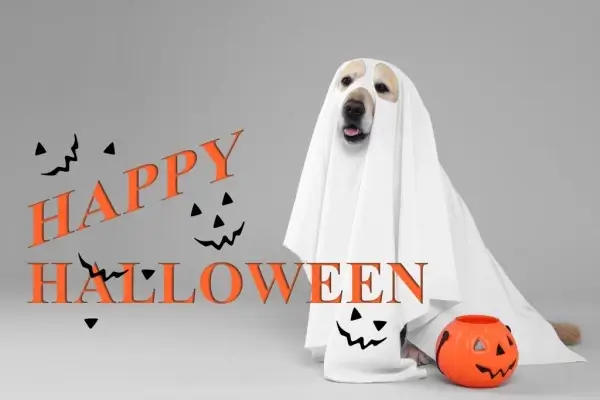 Happy Halloween from Prime Rate Mortgage ™